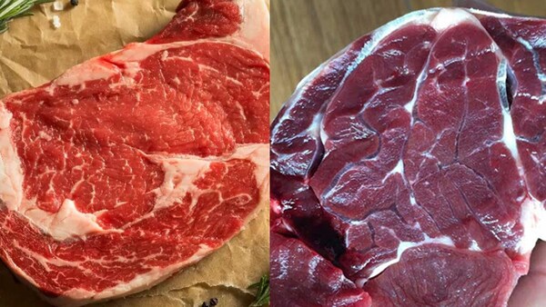 Thịt bò và thịt trâu có nhiều điểm khác nhau